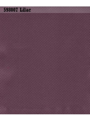 Roman shades 5980